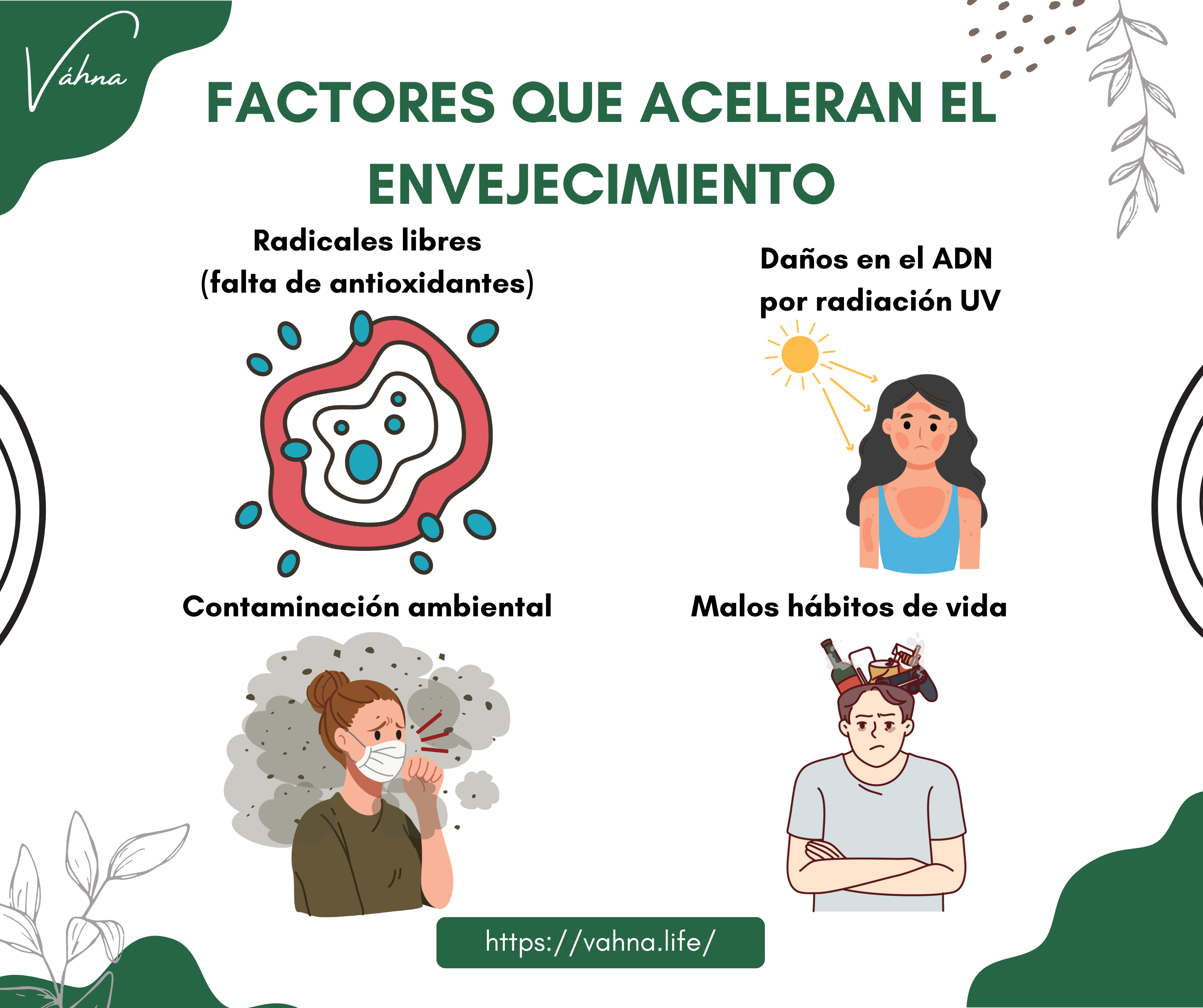 Factores que aceleran el envejecimiento