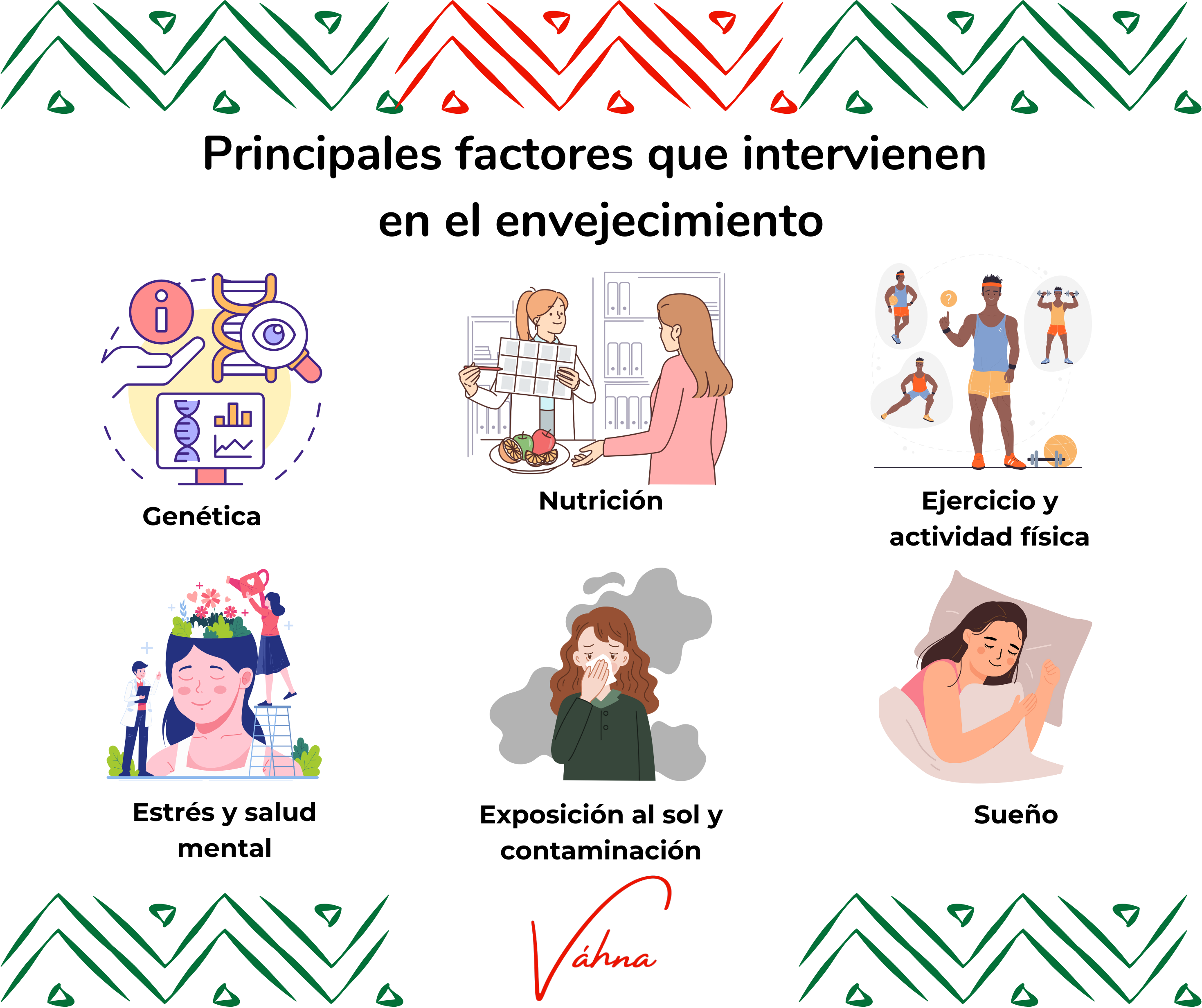 Factores que aceleran el envejecimiento